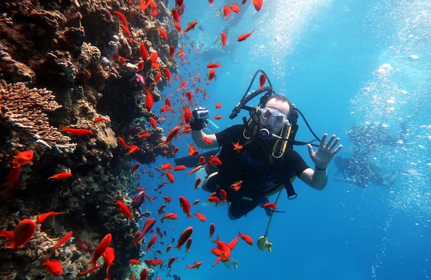 Mergulho no Mar Vermelho no Egito belo recife de coral com centenas de peixes de coral mergulhador filmando o recife sob a água fundo de esportes extremos