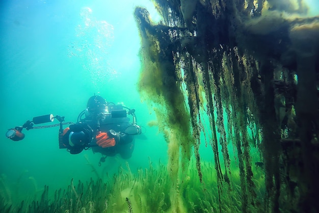 mergulho nos cenotes, méxico, cavernas perigosas mergulho no yucatan, paisagem de caverna escura debaixo d'água