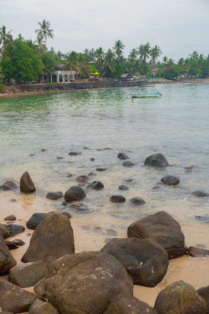 Merissa, Sri Lanka, papagaio. Pedregulhos enormes na praia.