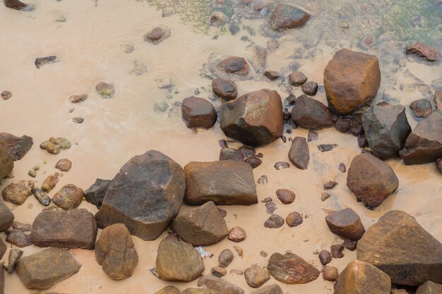 Merissa, Sri Lanka, papagaio. Pedregulhos enormes na praia.