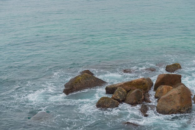 Merissa, sri lanka, papagei. riesige felsbrocken am strand.