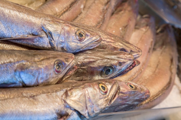 Merluza cabezas de pescado en puesto en el mercado