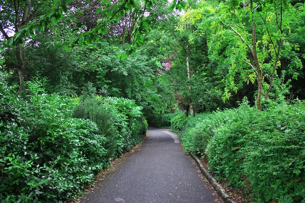 Merrion Square Park, Dublin, Irlanda