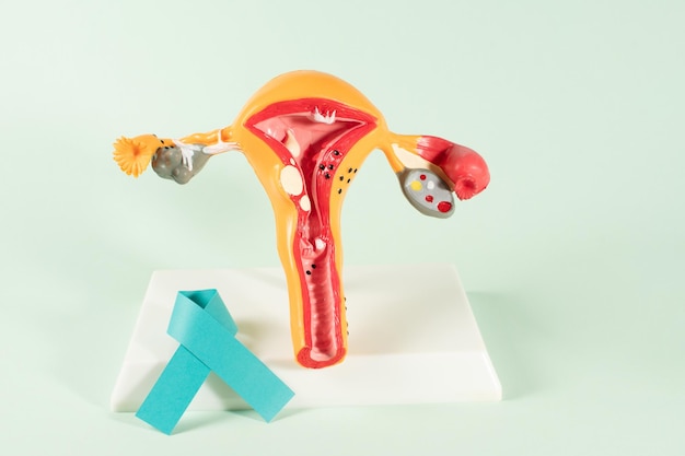 Mês de Conscientização sobre o Câncer Cervical com uma fita azul