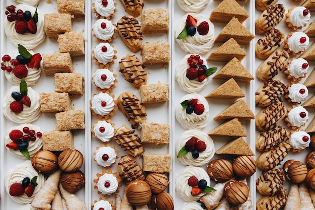 Mesa de banquete de catering bellamente decorada con diferentes bocadillos y aperitivos