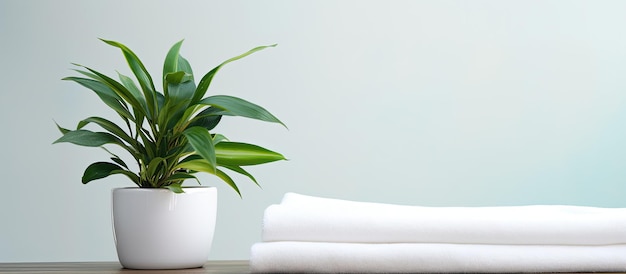 Una mesa blanca sostiene una toalla de baño limpia enrollada y una planta de interior con espacio vacío para copiar