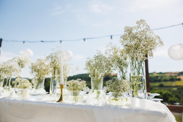 Mesa de bodas en estilo boho en el patio trasero cerca del viñedo.