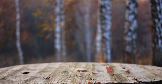 Mesa en bosque de abedules