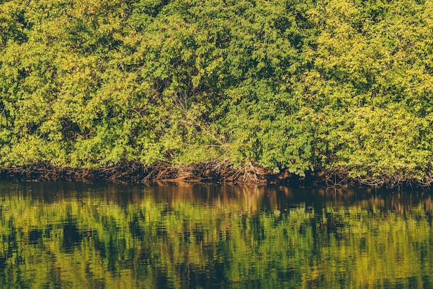 Mesa de bosque otoñal con reflejo en la superficie del agua