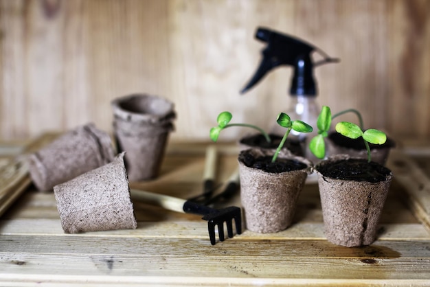 Mesa de brotes de mano de jardinero