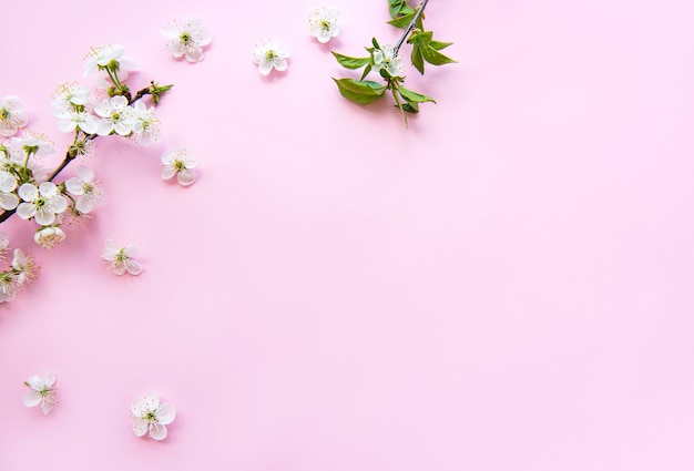 Mesa de borda de primavera com lindos ramos de flores brancas. Mesa rosa, florescer delicadas flores. Conceito de primavera. Espaço da cópia da vista superior plana leiga.