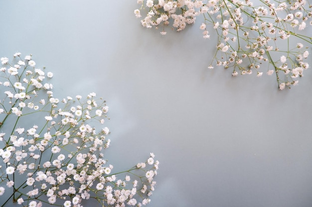 mesa de casamento feminina com respiração de bebê Gypsophila flores em verde pálido