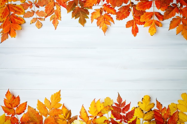 Mesa de madeira branca decorada com folhas de outono