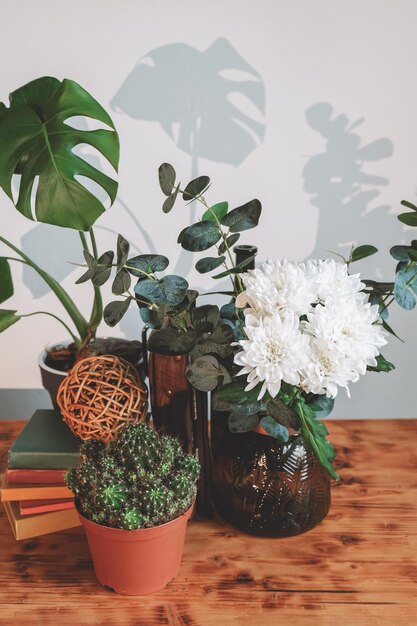 Mesa de madeira com vasos de plantas