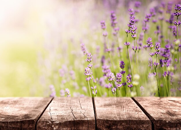 Foto mesa de madeira vazia com lavanda desfocada