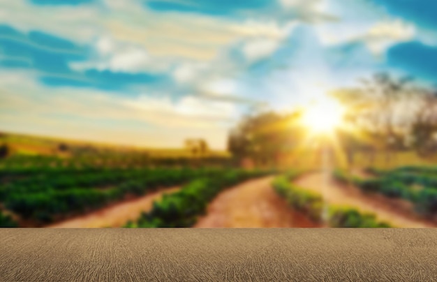 Foto mesa de madeira vazia com vista para plantação de café ou mesa de madeira com fundo de bokeh de fazenda espaço para texto