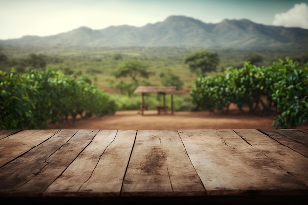 Mesa de madeira vazia em frente ao fundo da plantação de café