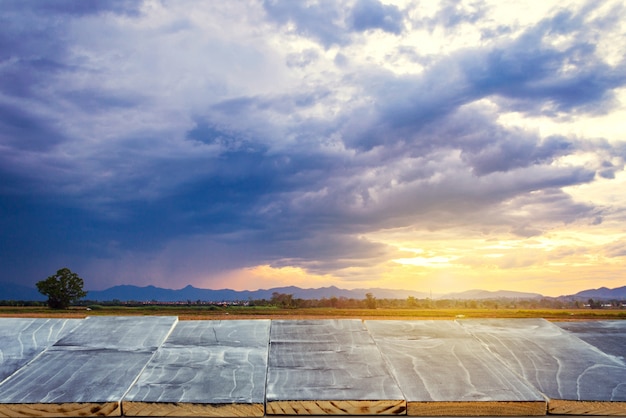 Mesa de madeira vazia para montagem de exibição de produtos e campo de arroz e por do sol.