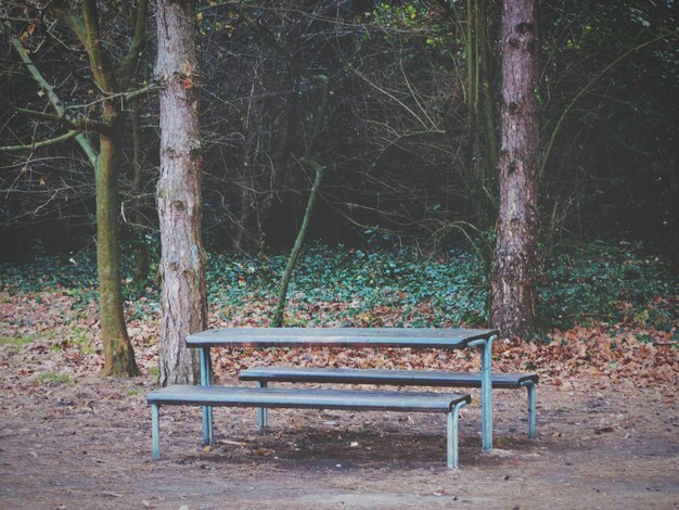 Foto mesa de piquenique contra árvores