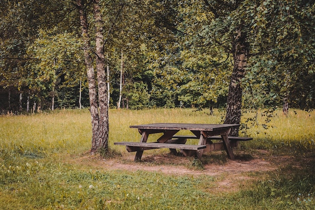 Mesa de piquenique feita de madeira resistida em um prado verde com duas bétulas. símbolo da atividade de lazer de verão e churrasco. imagem tonificada.