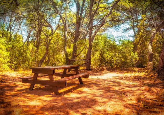 Foto mesa de piquenique na floresta