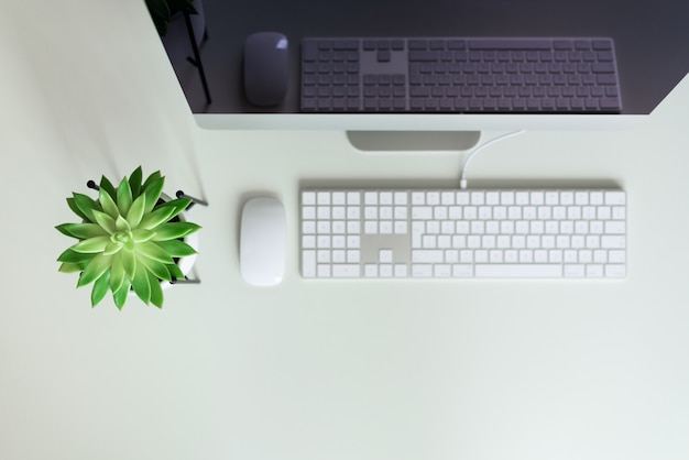 Mesa de escritorio de oficina blanca con teclado, mouse, monitor, planta suculenta y otros suministros de oficina.