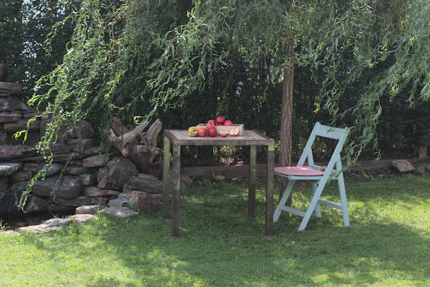 Mesa con frutas y una silla debajo del árbol en el jardín.