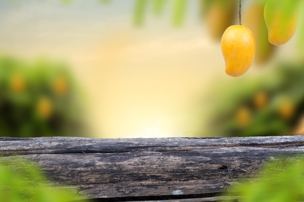 mesa de madera en blanco y fruta de mango en el árbol