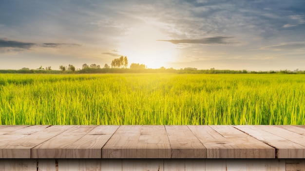 Mesa de madera y campo de arroz y cielo azul del amanecer con montaje de pantalla de destello de lente para el producto