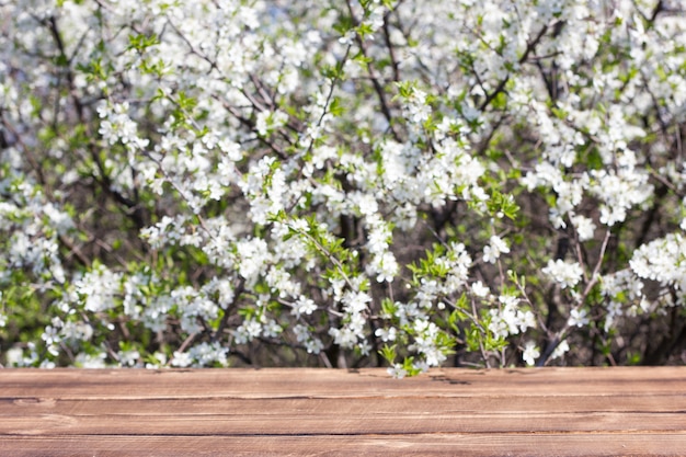 Mesa de madera contra un árbol floreciente. Lugar bajo la inscripción. Concepto de primavera