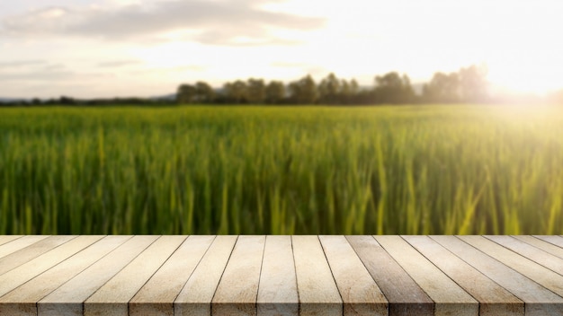 Mesa de madera contra el campo de arroz fondo borroso.