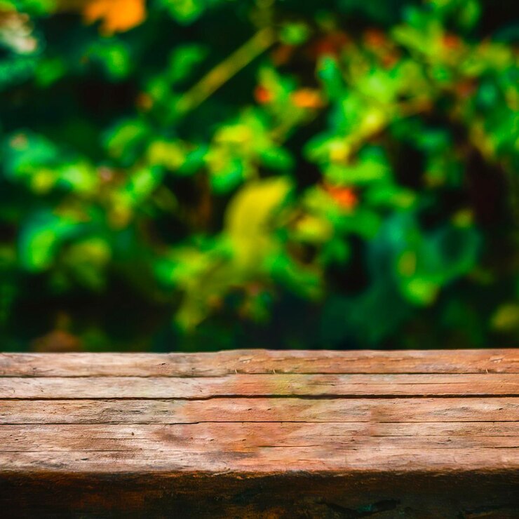 una mesa de madera con una planta verde en el fondo