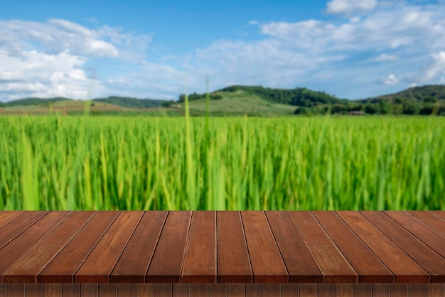 Mesa de madera vacía con campo de arroz y skyxA azul