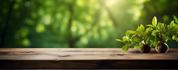 Mesa de madera vacía con fondo verde