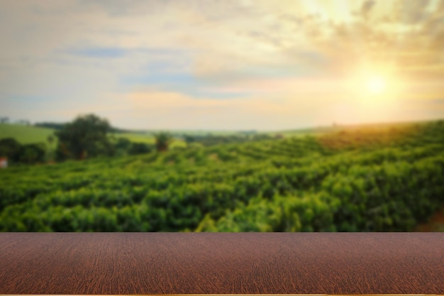 Mesa de madera vacía con vista a la plantación de café o escritorio de madera con fondo de granja Espacio para texto