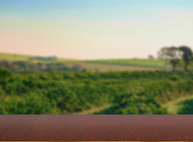 Foto mesa de madera vacía con vista a la plantación de café o escritorio de madera con fondo de granja espacio para texto