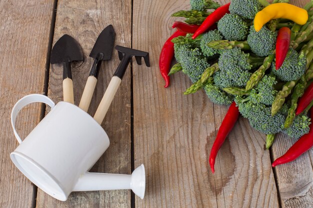 En una mesa de madera, verduras: espárragos, brócoli, chili, rábano y artículos para el cuidado del jardín.