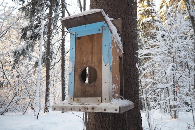 Una mesa o bandeja de alimentación de aves es un dispositivo colocado al aire libre para suministrar alimento a las aves.