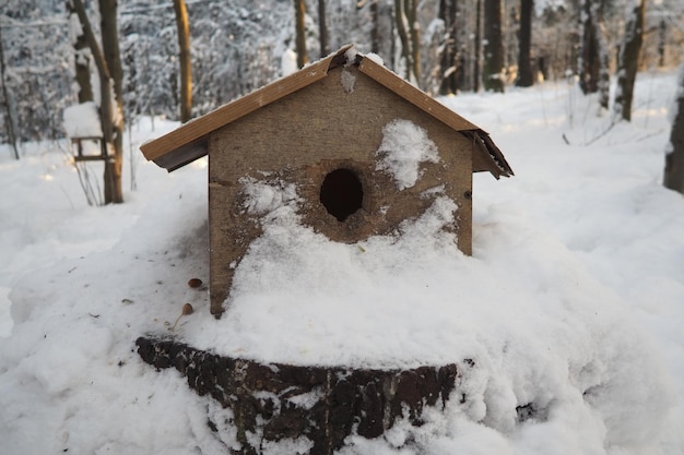 Una mesa o bandeja de alimentación de aves es un dispositivo colocado al aire libre para suministrar alimento a las aves.