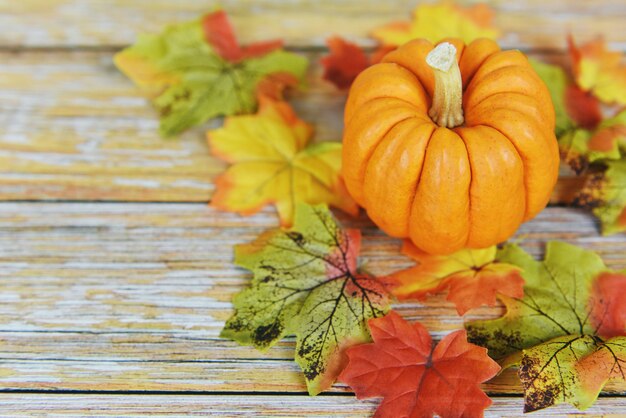 Mesa de otoño con calabazas vacaciones