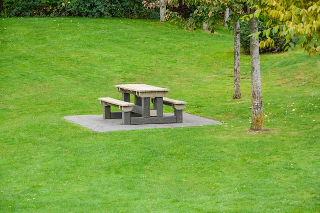 Mesa de picnic y bancos en el césped verde en un parque