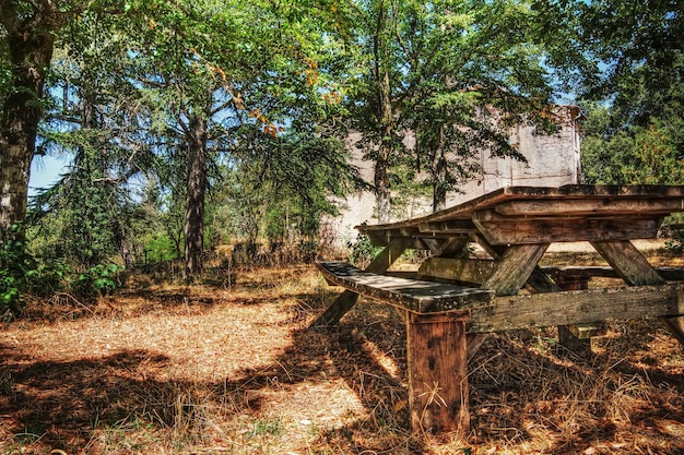 Mesa de picnic en el bosque de Burgos Cerdeña