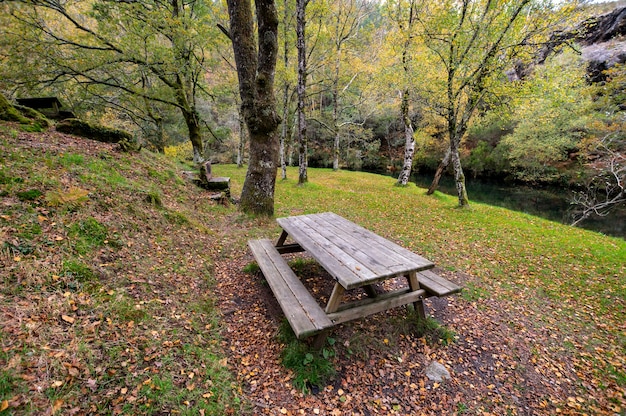 Mesa de picnic en un entorno natural con árboles y río en otoño
