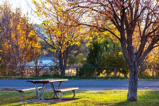 Mesa de picnic en la hierba