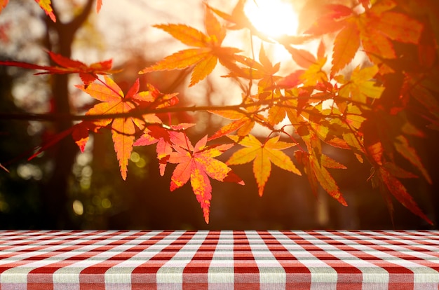 Mesa de picnic con jardín de árboles de arce japonés en otoño.