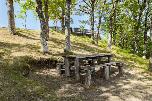 Mesa de picnic de madera y lugar de picnic en el bosque del Parque Nacional Pollino en un día soleado, una amplia reserva natural en Basilicata y Calabria, Italia