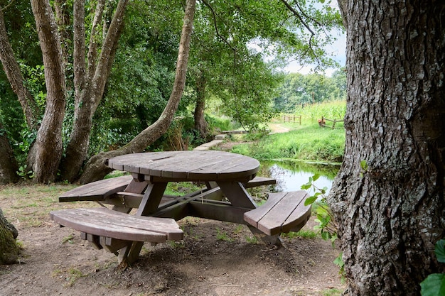 mesa de picnic en medio del bosque con un río al fondo