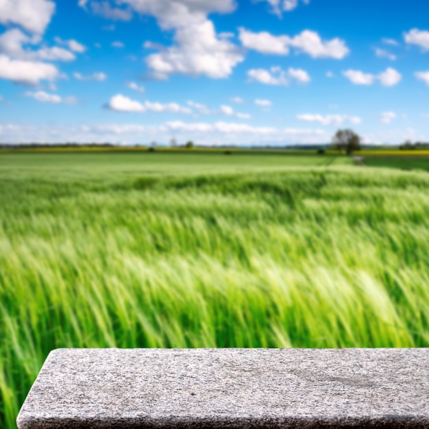 Foto mesa de piedra en la naturaleza al aire libre de cultivos agrícolas fondo de pantalla cuadrada de la luz del sol