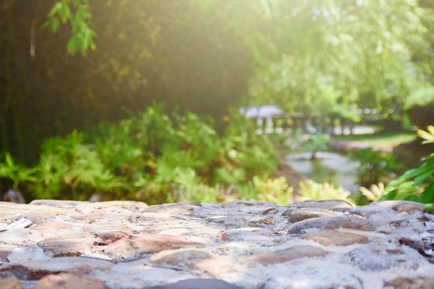 Mesa de piedra vacía y desenfoque de la naturaleza El árbol se puede utilizar para mostrar