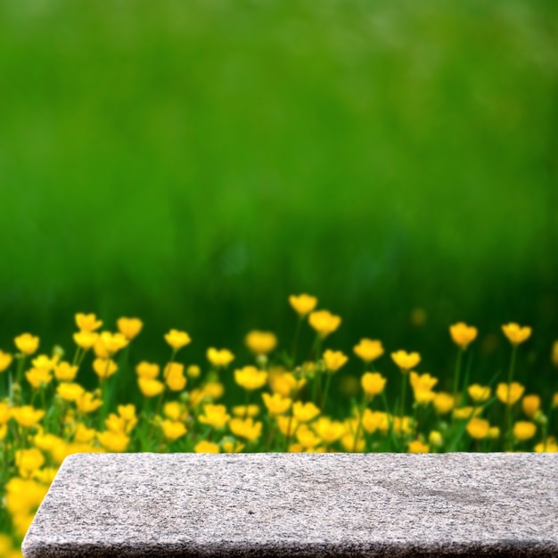 Mesa de piedra vacía en el jardín al aire libre flores amarillas naturaleza luz solar fondo de pantalla cuadrada